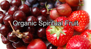 organic_fruit_wide text