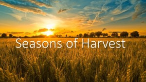 Harvest