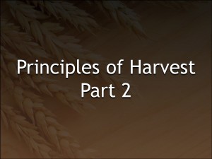 Principles2