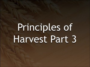 Harvest3